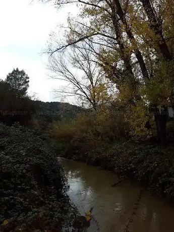 Photo de El Rulo