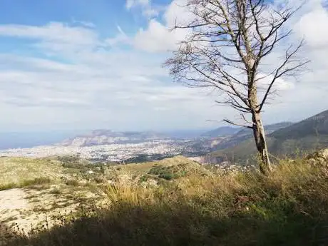 Photo de Monte Caputo
