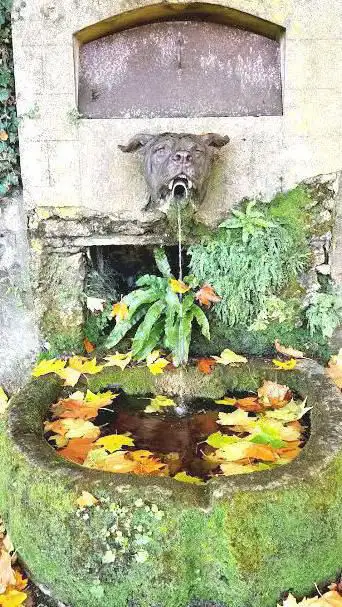 Devil Dog Fountain