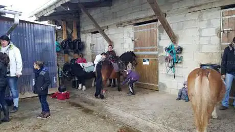 Photo de Les Ecuries de Villemer VILLEMER