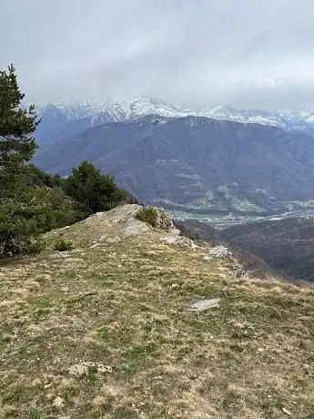 Monte cucetto