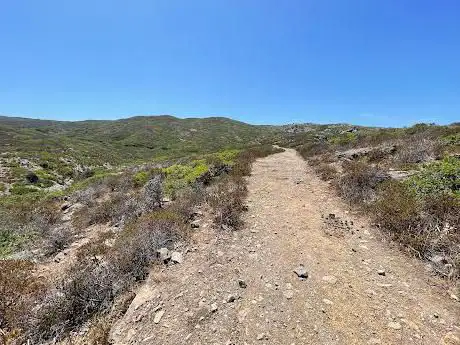 Sentiero Cala Sabina-Cala d'Oliva