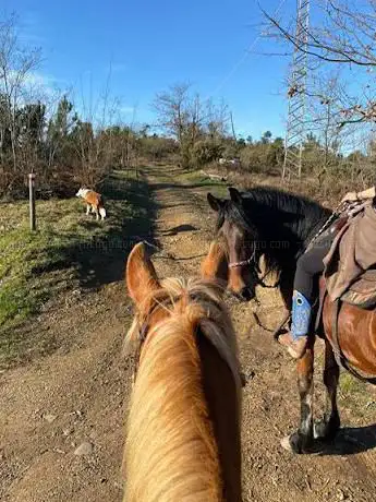 D.Ranch Horse Riding Cinque Terre