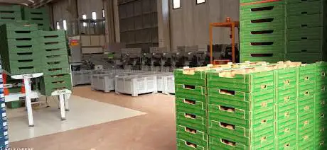 Photo de Azienda Agricola Fabbri Antonio E Giorgio
