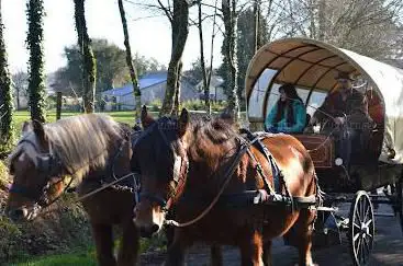 Kreizy Kalèche