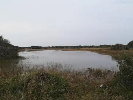 North Predannack Downs
