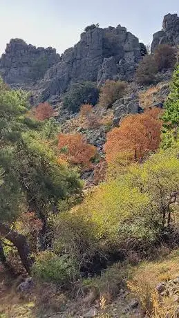 Photo de Senda del Portacho.