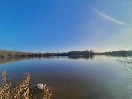 Photo de Haysden Water