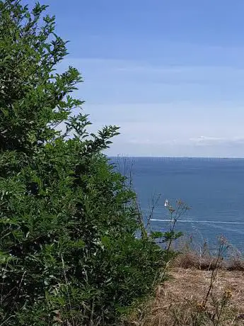 Photo de Chemin de Sainte-Adresse
