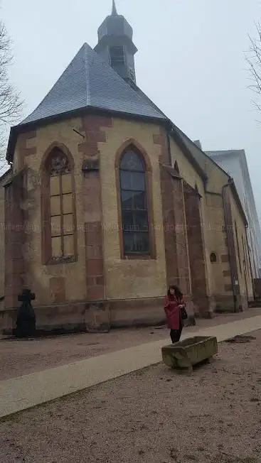 Photo de Roseraie