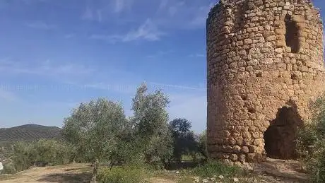 Photo de Torre Ventas del Carrizal