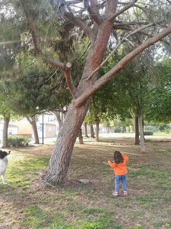 Photo de San Roque Park