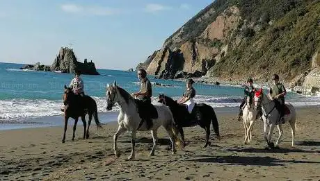 Photo de America Ranch ASD