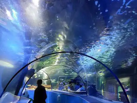 SEA LIFE Scarborough