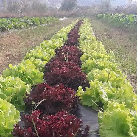 Photo de Riconatura