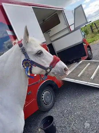 Photo de Adventure Neighground