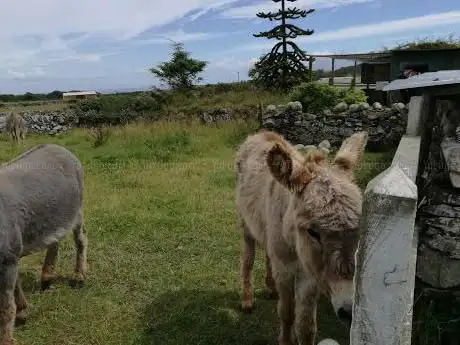 Monreith Animal World