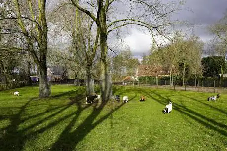 Kinderboerderij Minnebeek Groenhuysen