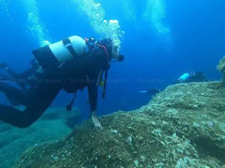 AREA11 DIVING CENTER