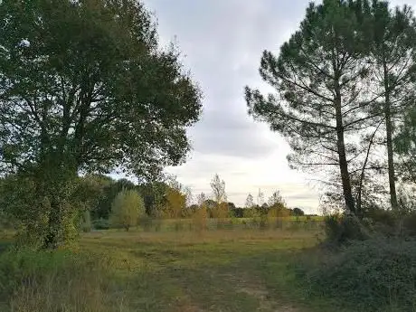 Photo de Voie verte