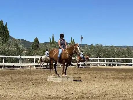 Photo de Centro Ippico Equi Caere