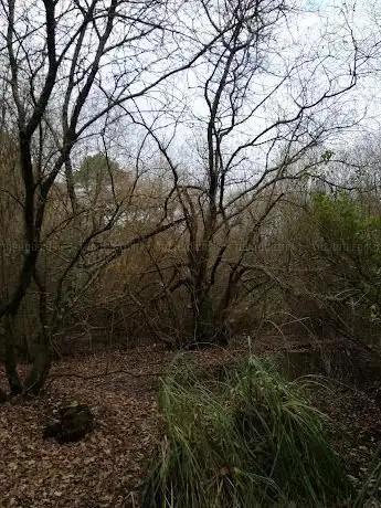 Photo de Parc de la Baye