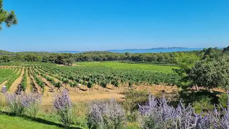 Une Escapade en Provence