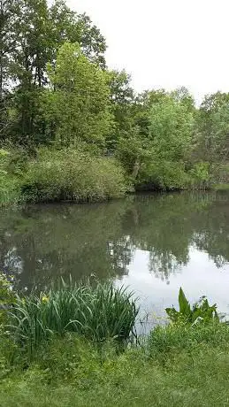 Grâce Woods