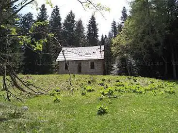 Col de Turini