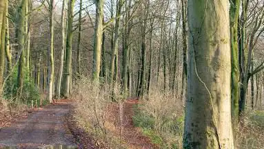 Wandelknooppunt 76