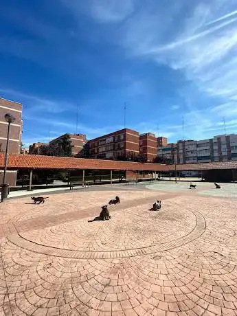 Photo de Plaza de los Gatos