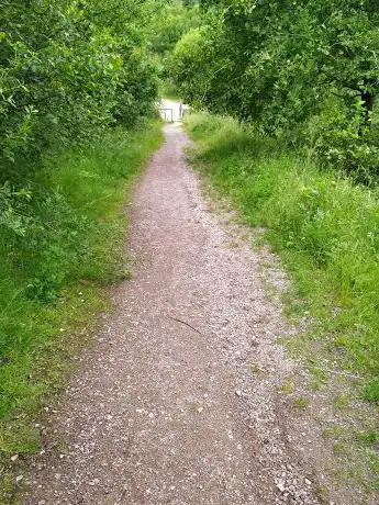 Photo de Williamthorpe Nature Reserve