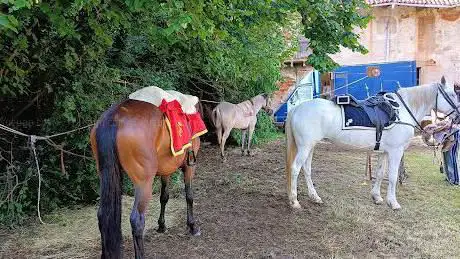 Campo Sportivo 