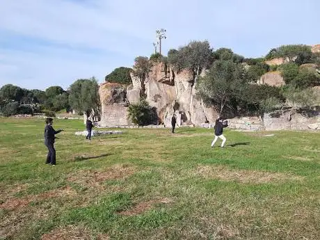 Arena Fenicia