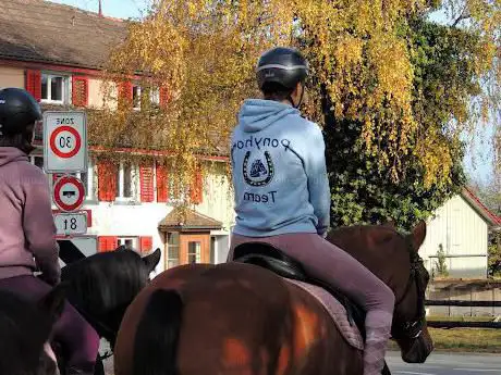 Photo de Nadine's Ponyhof
