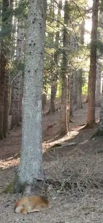 Photo de Riserva della Biosfera Alto Molise