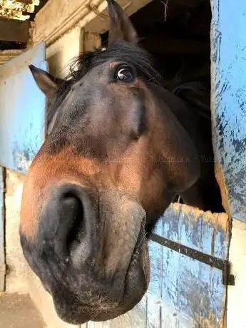 Centre Equestre de Blaru