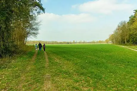 Heesakkerheide Pelt