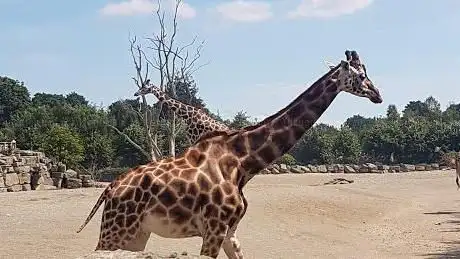 Photo de Zoo de Dublin