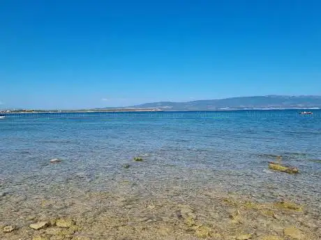 Su Pallosu