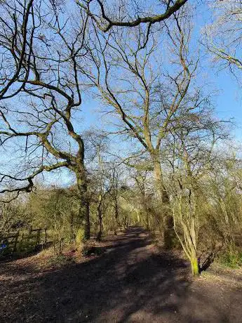 Photo de Putnoe Wood