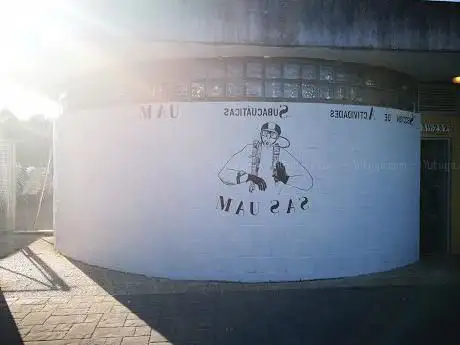 Photo de Sección de Actividades Subacuáticas UAM