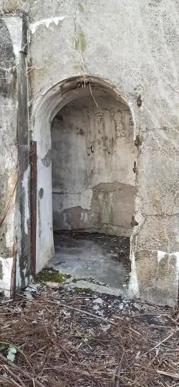 Giora