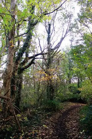 Photo de 's Hertogenheidewandeling