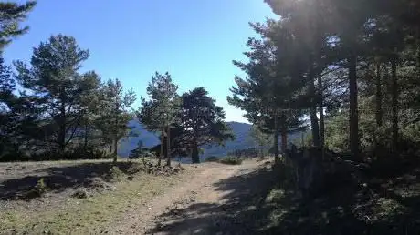 Photo de Comedero de Buitres El Berrueco