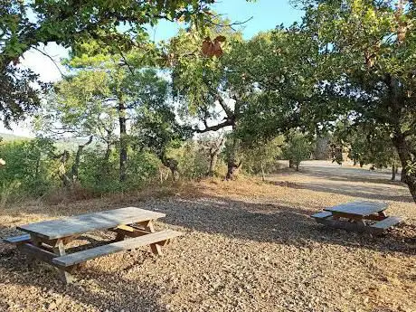 Aire de pique-nique du moulin