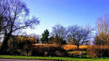 Photo de Pond in Stockwood Park