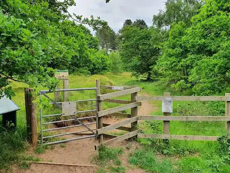 Photo de Spalford Warren Spalford Woods Nature Reserve