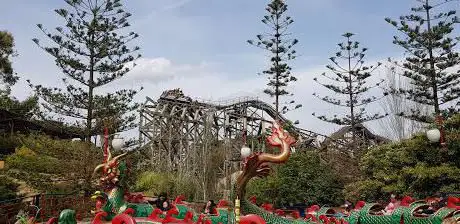 Photo de Cobra Imperial