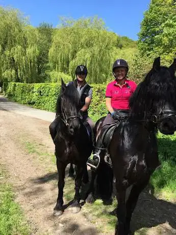Photo de World Of Friesians